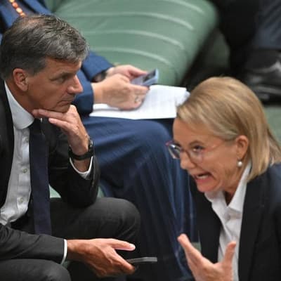 'Traumatised' Libs told to get off TV and sort out feud