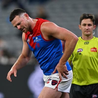 Demons defender May misses AFL pre-season training