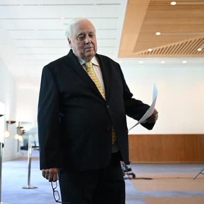 Palmer fights election caps despite failed $50m spend