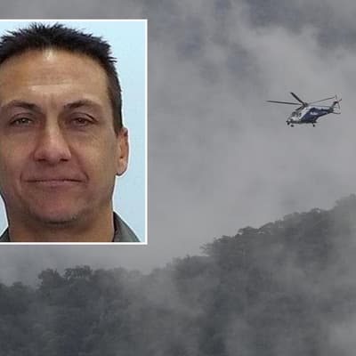 Dogged Dezi search in dense bush fails to find fugitive