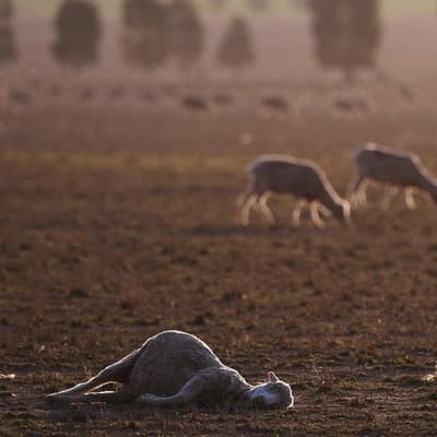 Calls to end climate security secrecy as UK fesses up