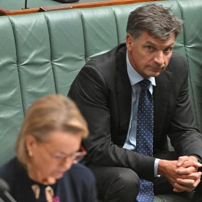 Likely Liberal contender denies plans to roll leader