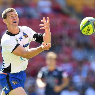 It's proving hard to beat Wild Knights in Japan