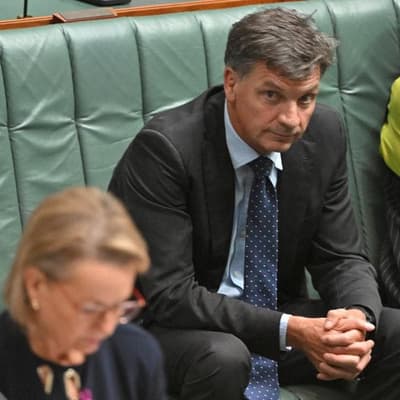 Liberals prepare for leadership coup after 'dire' poll