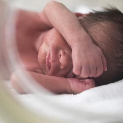 Claim about ethnic births in NZ doesn't match official data