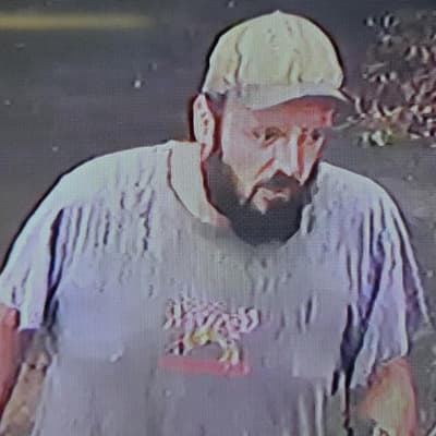 Concern grows as woodchopper missing in bush for days