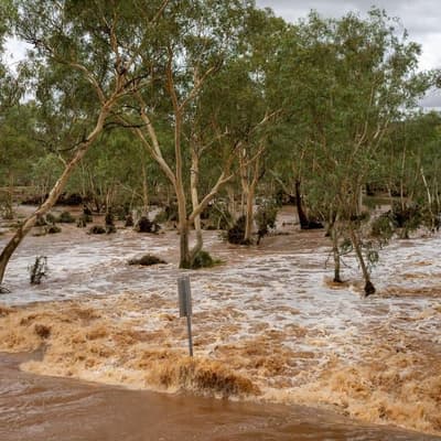 Flood rescue effort to save woman clinging to tree