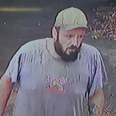 Woodchopper found alive after going missing for days