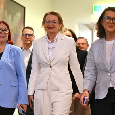 Sussan Ley's ousting 'not a good look' to female voters