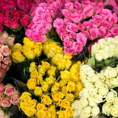 Valentine's spending slows but love remains priceless