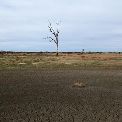Help on way as farmers grapple with sweeping drought