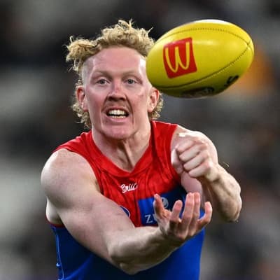 Former Dees star to emulate Hogan in AFL career reboot