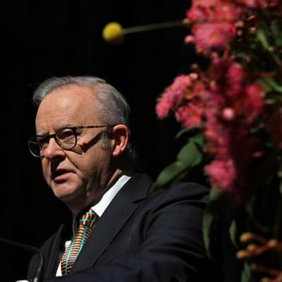 Returning ISIS brides to face 'full force' of law: PM