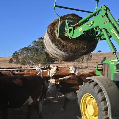 AI digs deep into future of Australian farming sector