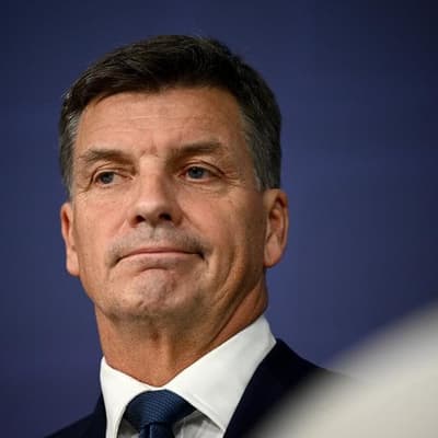 No quick fix for overhauled Liberal immigration plan