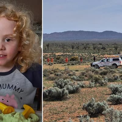 Missing boy: police vow to continue evidence hunt