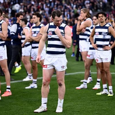 'Heal the wounds': Selwood optimistic on bruised Cats