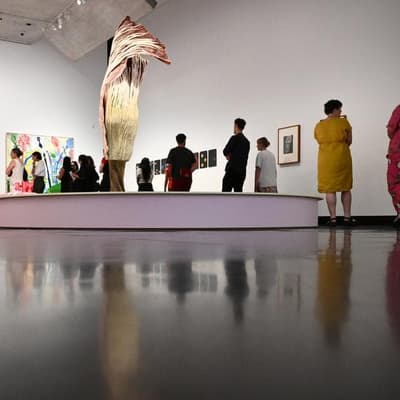 With ants, blooms and birds, museum rethinks uni smarts