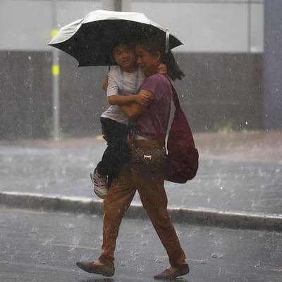 Destructive hailstorms slash insurer firm's bottom line