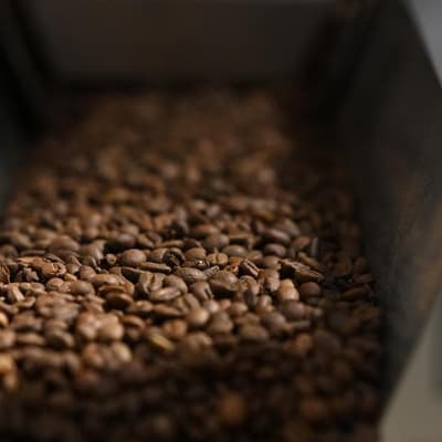 Climate 'coming for our coffee' without farm adaptation