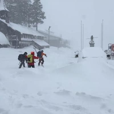 Eight skiers dead in California avalanche, one missing