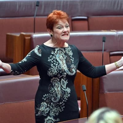 Mayor wants Hanson charged with hate speech offences