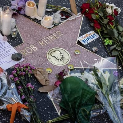 Son of slain Rob Reiner pleads not guilty to murder