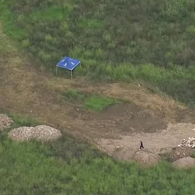 Outrage, grief after body found in grandad's kidnapping