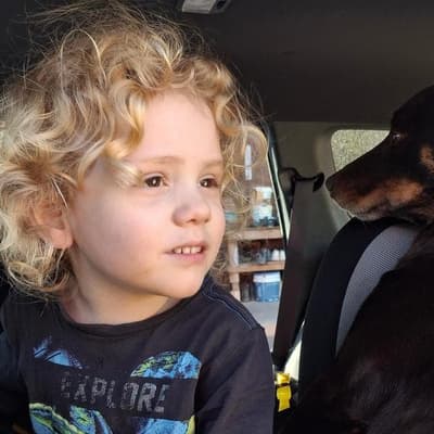 'Means everything to us': parents' plea on missing boy