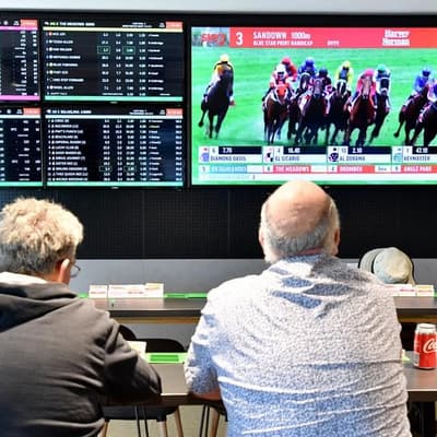 Punters take some skin off but gambling giant wagers on