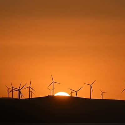 Data centres urged to BYO clean energy, train workers