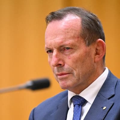 Former PM Abbott the subject of political disinformation page