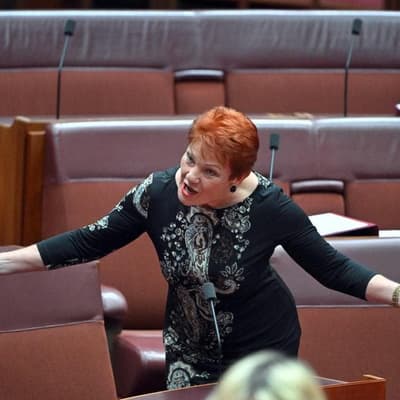 No truth to PM's pledge to 'investigate' Hanson