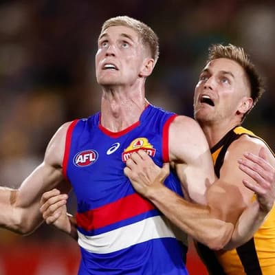 English lesson for Hawks in Dogs' perfect tune-up