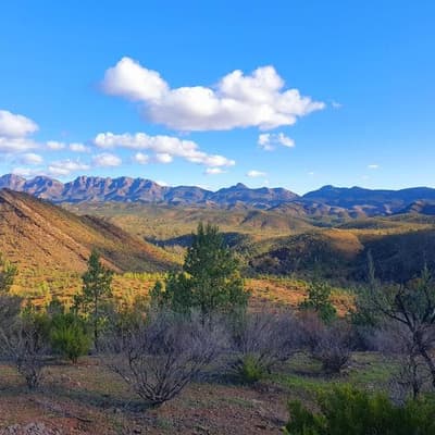 Fossil wonderland submitted for World Heritage listing