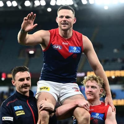 Premiership-winning Demons defender retires from AFL