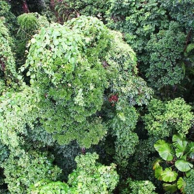 Couple on 'bucket list' trip before fatal zipline fall