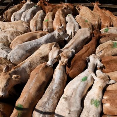 Agriculture hits $100b, but what goes up must come down