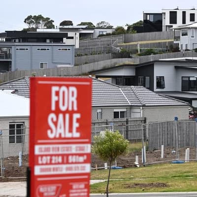 Minister won't rule out tax change as Greens up demands