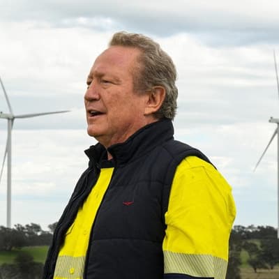 Fortescue founder losing sleep over AI nightmares