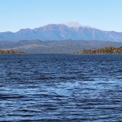 Government 'ignored' advice to halt salmon farming