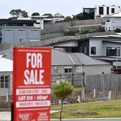 Not migrants: research pinpoints housing crisis culprit