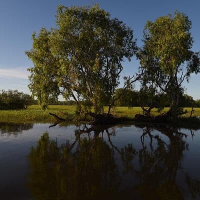 Carbon credit rewards MIA for Indigenous stewards