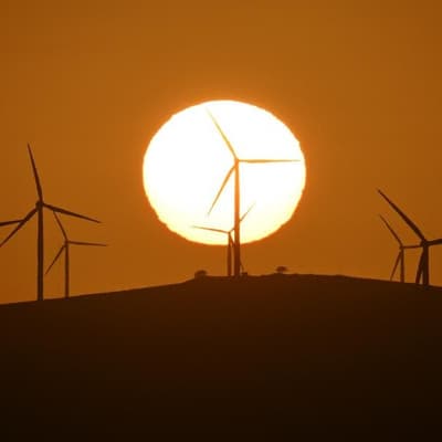 No ill winds blowing for renewables spending in budget