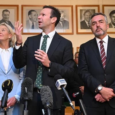 'Hyper-Australia': Nationals leader targets One Nation