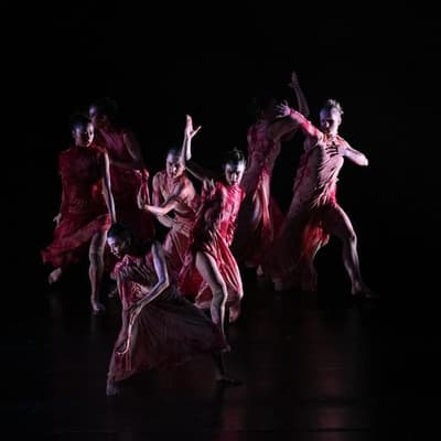 From Bangarra and Aust ballet grow seeds of a new dance
