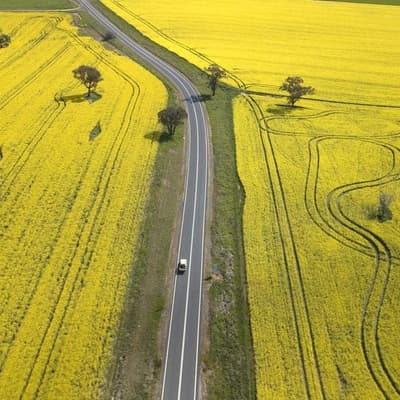 Australia risks being lapped in the race for green fuel