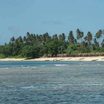 Speed, navigation errors flagged in cruise grounding