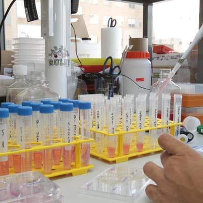 Biotech shares plunge after lung cancer drug's failure