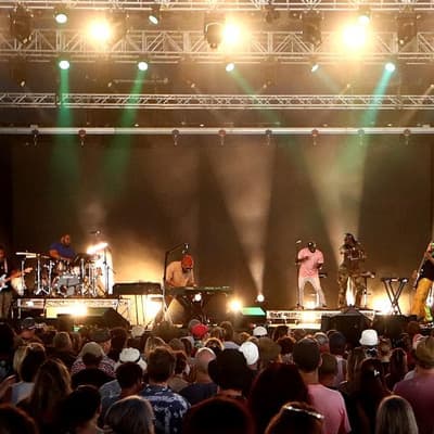 Blues fans see red as organisers pull plug on festival